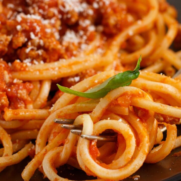 Low Fodmap Pasta Sauce Recipe