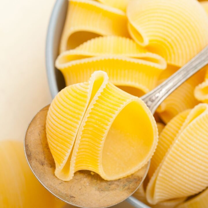 Lumaconi Pasta Recipes