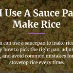 can i use a sauce pan to make rice